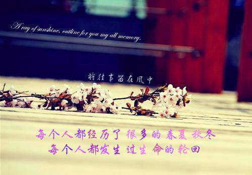 宋知宜最新章节列表 网友们本以为我是汉子茶by某生免费阅读