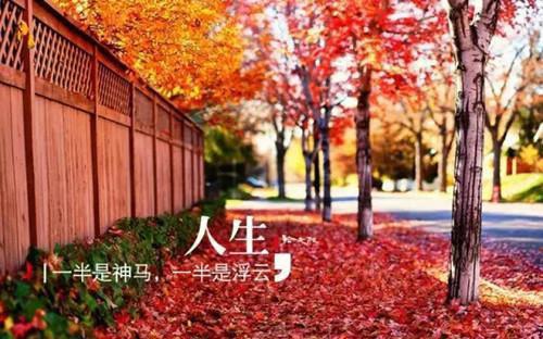 夏小姐裴舒韵顾添呈免费阅读最新章节 夏牧场全文最新更新内容