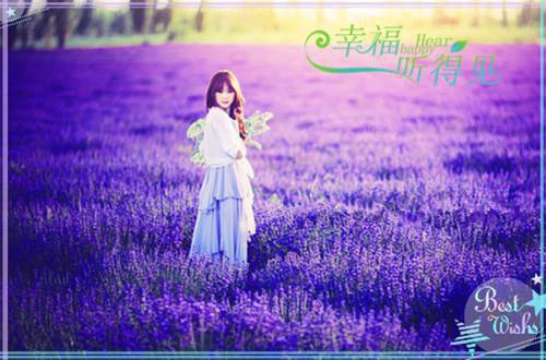 纪怀砚姜初宁免费阅读最新章节结局 姜初宁纪怀砚最新章节免费阅读