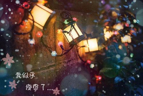 江梨锦烨觟辞玉苏洛儿免费阅读最新章节 江梨锦烨觟结局