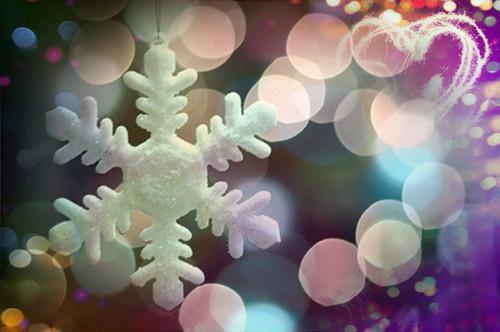 我冰山boss杨女士老登小说在线阅读 我妈竟是冰山boss白月光小说我冰山boss杨女士老登