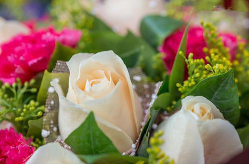 傅洛兮傅临州林昭然的最新章节更新时间 纯恨弟弟为白月光跟我签断亲书，我死后他却悔疯了（ABC）免费阅读