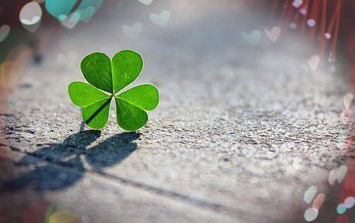 我江时屿沈安安小说叫什么名字 背刺免费阅读