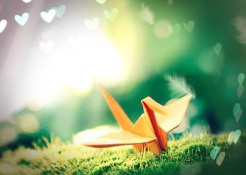 叶清清厉砚修免费阅读最新章节结局 二版《爱别八零,外交官夫人要离婚》叶清清 厉砚修小说免费阅读全文最新章节