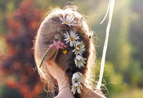 苏叶李樾李之橪舒只音是哪部小说 万丈光芒笔趣阁