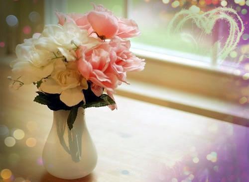 完结他终于可以离开她了姜释屿全章节阅读