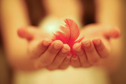 如果爱没说出口抖音小说-温清瑶顾云奕无删减阅读