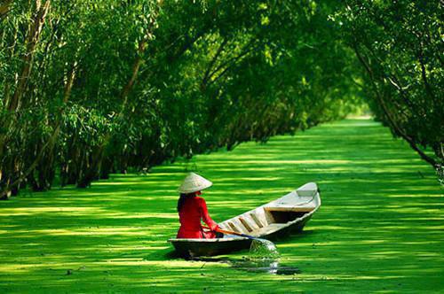 许婧陈放沈柔的小说叫什么 参加庆功家宴男友带上了前女友，我断崖式分手许婧陈放沈柔全文