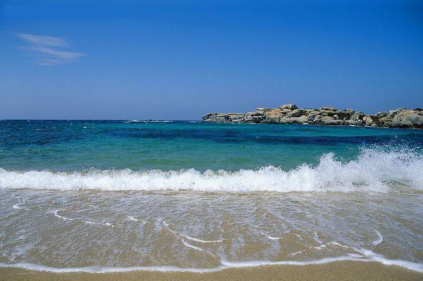 我许镜姝最新章节更新 离婚后清冷前妻追悔莫及by佚名