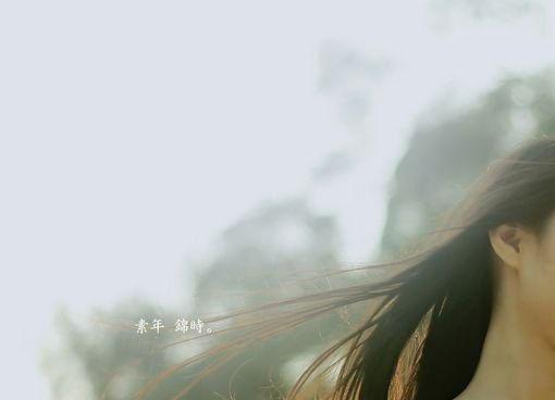 繁花盛意难平：+后续+结局（陆依霜轩辕翊）小说免费在线阅读_繁花盛意难平：+后续+结局全本最新后续阅读（陆依霜轩辕翊）