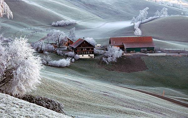 宋童童宋玉珍免费阅读最新章节 离婚后,妈妈说她是真千金最新章节更新