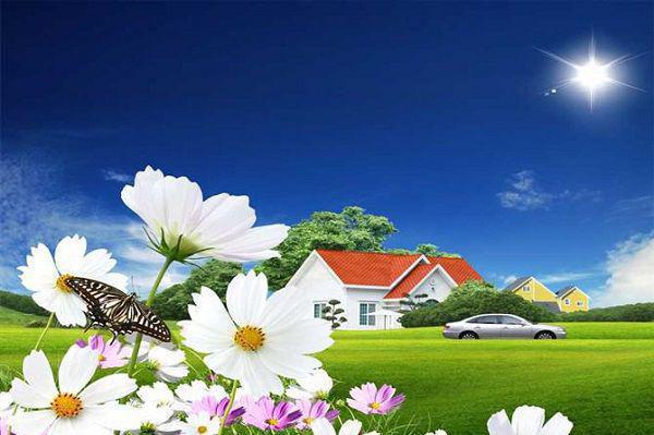 孟子衿宋司湛最新章节内容 迟迟情深难自知未删减小说