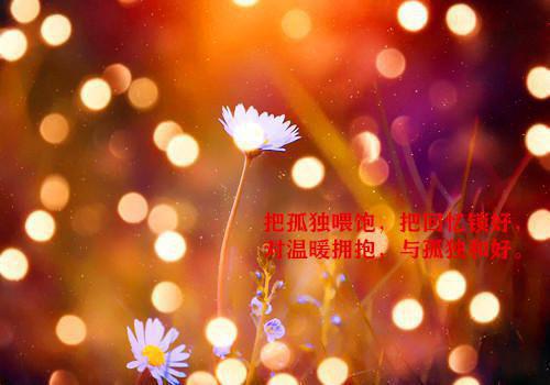 温清瑶顾云奕小说名 如果爱没说出口电子书