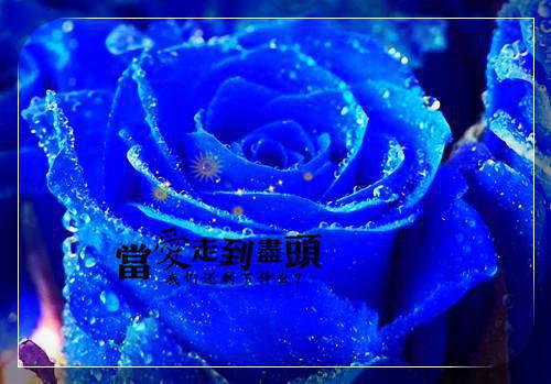 姜冉张弘广赵桂芳是哪部小说 8元保号套餐被人误充两万，我反被爆头缝八针免费阅读姜冉张弘广赵桂芳小说