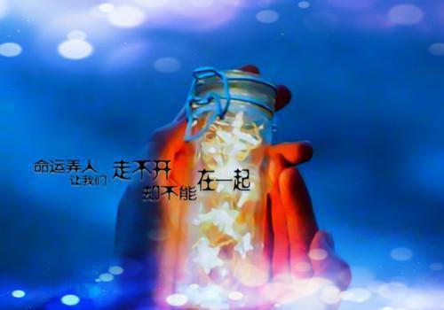 安知意季晏白笔趣阁免费阅读 诱她情陷诱在线阅读