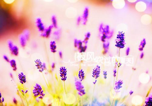 吴浩沈玲免费阅读最新章节 花光所有积蓄为儿子买房，儿媳却不让我住知乎小说