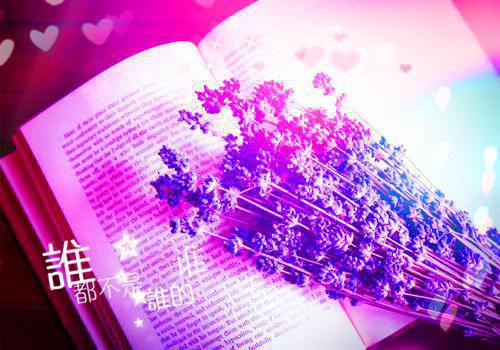 顾穗宁小说叫什么名字 玉满岁宁结局