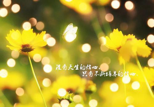 季杉阮封岸小说名字 年下男友有女朋友了，那我算什么免费阅读小说