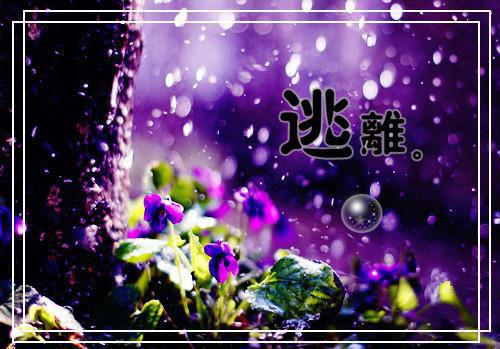 席老师小说免费阅读 布置作业多被举报,我实行快乐教育后家长疯了:后续席老师大结局