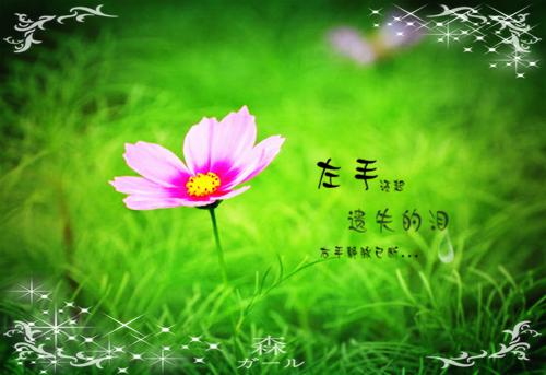 姜宁宋瑶陆闻最新章节更新状态 客户抽了三根烟,拿下五亿订单的我被倒罚18万小说正版免费阅读