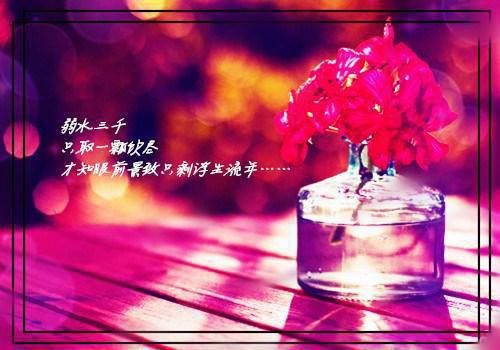 林璟年许念初小说结局 许念初林璟年免费阅读小说