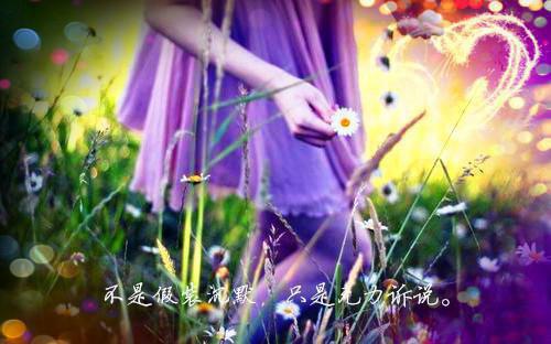 南哲贺慕妍最新章节更新时间 她如北风向南哲电子书