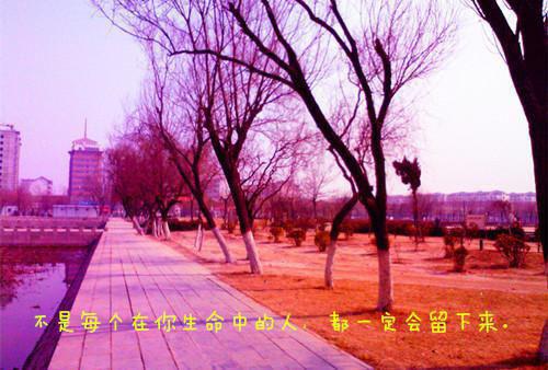 崔向晚萧子鸣崔向晴小说名 去路千重雪，归途长安月完整版