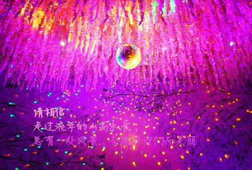 陆泽夏沫免费阅读最新章节结局 夏沫陆泽江雪漫:后续小说最新章节列表