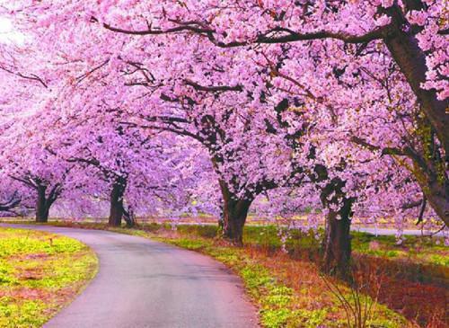 陆鹤归温伊珞最新章节列表 爱你爱到一无所有最新章节免费阅读