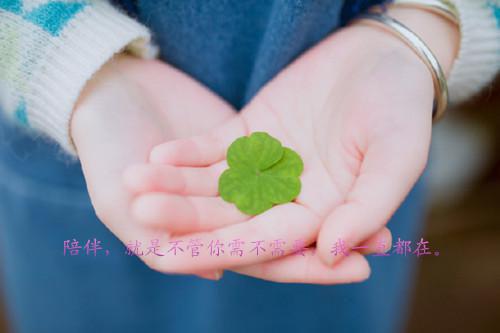 姜暮景珩师袖雪小说 青山有思,白鹤忘机小说正版阅读