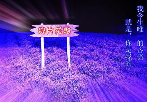 温时安魏书禾池临小说叫什么名字 不知芒芒今朝落免费阅读