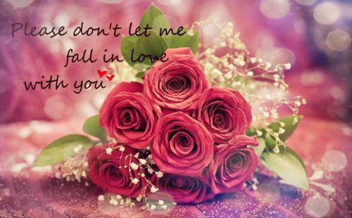 被前女友当众羞辱后，我靠一碗炒粉点燃了全城烟火最新章节列表_被前女友当众羞辱后，我靠一碗炒粉点燃了全城烟火全文免费阅读(赵天阔陈凯)