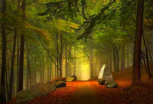 乔晚宁霍商蔚蓝小说名字 前度乔晚宁霍商蔚蓝全文