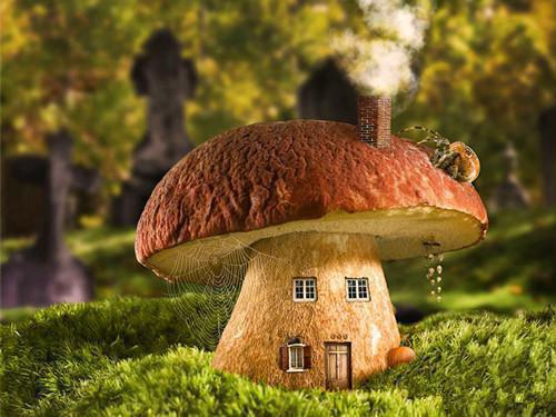 双生换乾坤抖音小说-谢泠谢旻无删减阅读