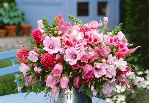 谭雨莉何容鸣小说结局 谭雨莉何容鸣谭雨莉何容鸣全文