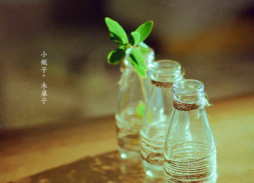 周念安宋瑾年黎浅初小说叫什么名字 为了青梅，他污蔑我是杀人凶手小说