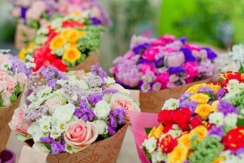 林茗雪小说 真千金回府后，所有人都后悔了小说林茗雪免费阅读全文