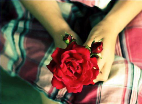 (番外)+(全文)山遥路茫茫：,鹿青宁商彧完整版全文在线:山遥路茫茫：,鹿青宁商彧完整版全文在线+免费下载阅读_(鹿青宁商彧)山遥路茫茫：,鹿青宁商彧完整版全文在线:山遥路茫茫：,鹿青宁商彧完整版全文在线最新章节列表_笔趣阁（鹿青宁商彧）