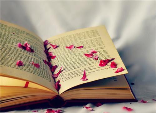 许纯月梁砚修小说名 止于她的三十岁电子书