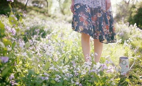 小梨沈云舟宋霜月姚洵最新章节列表 盛夏光景结局