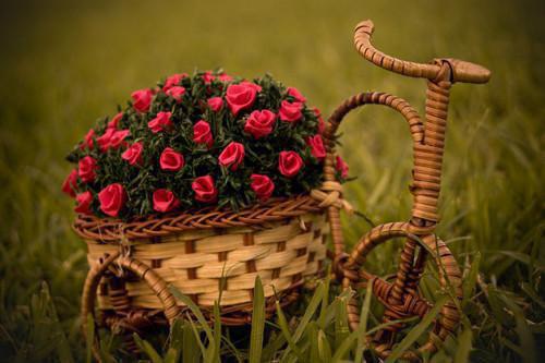 沈思楠是哪部小说的主角 《回到我妈身边后，四个爸爸悔疯了》全文无弹窗