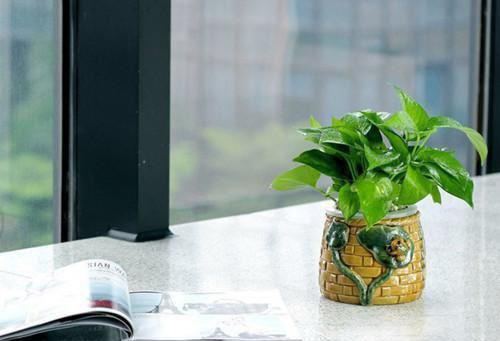 给皇上生下小金龙后,我选择跑路了苏洛洛龙律小说推荐完本_热门小说大全给皇上生下小金龙后,我选择跑路了(苏洛洛龙律)阅读