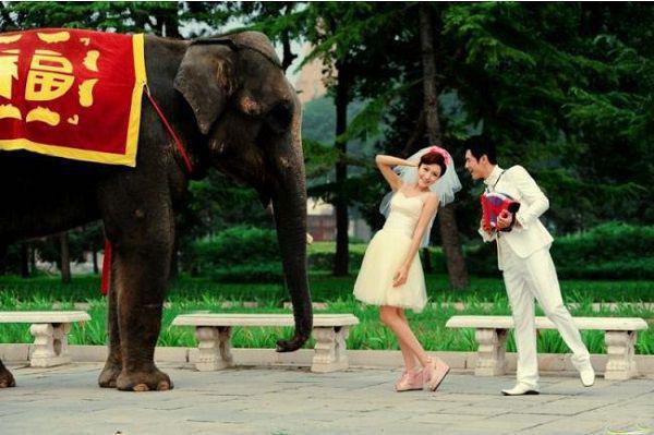 流萤散作枕边雪：+后续+结局+番外（姜亭晚梁慕凡）最新章节列表_流萤散作枕边雪：+后续+结局+番外宝藏文（姜亭晚梁慕凡）流萤散作枕边雪：+后续+结局+番外在线阅读