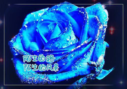 孟栀骆闻洲免费阅读 偏执成瘾小说正版阅读