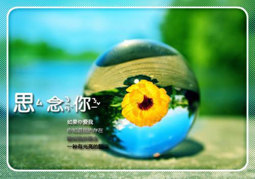 薛烟烟陈劲最新章节更新 雨木花季最新章节免费阅读