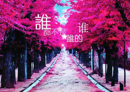 沈如胭燕衍柳嫣然的小说叫什么 言春枝笔趣阁