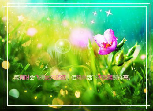 我朱欣雅什么关系 看到弹幕后我亲手送妹妹进炼狱（萌新写手）免费阅读