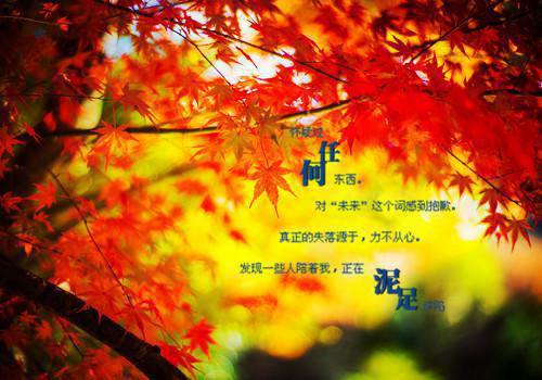 秦月月免费阅读 妈妈亲手把我把关进了提琴箱最新章节更新