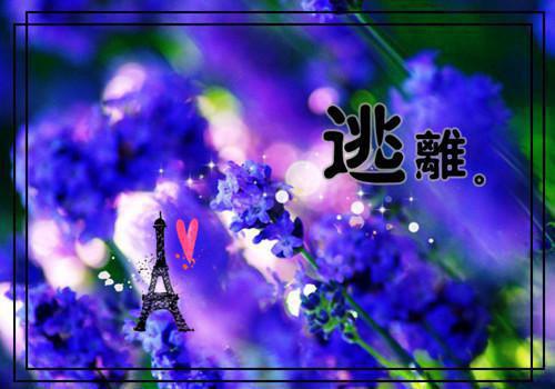 祝卿安厉泽的最新章节小说 祝卿安厉泽笔趣阁最新章节列表