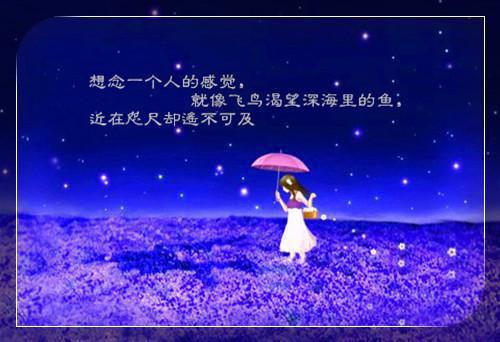 谭雨莉何容鸣小说 谭雨莉何容鸣免费阅读